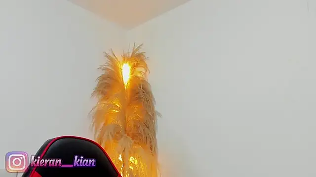 Snapshot of Kieran_kian chatting on 19, 4, 2026 Kieran kian online show from 19, 4, 2026