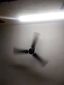 Devi-with-Ram online show from 13, 10, 2025