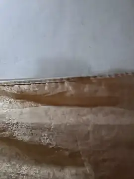 darryl hugecok online show from 15, 3, 2026