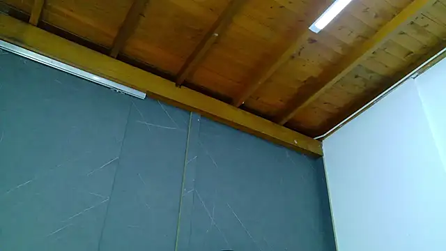 ALANNFERRER online show from 13, 1, 2026