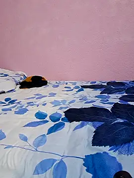 tharki-anand online show from 27, 2, 2026