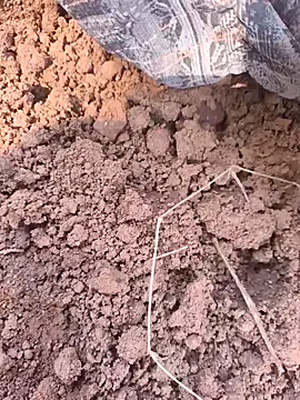 Hot raaani online show from 7, 11, 2025