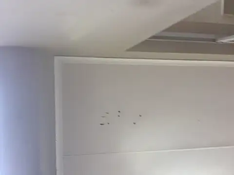 sex-machanic online show from 28, 11, 2025