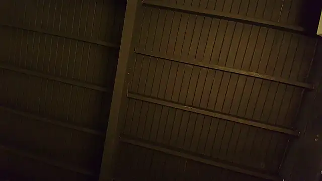 lilyth bloom online show from 15, 12, 2025