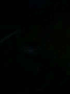 Pipegod007 online show from 18, 12, 2025