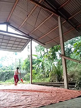 NG N online show from 17, 11, 2025