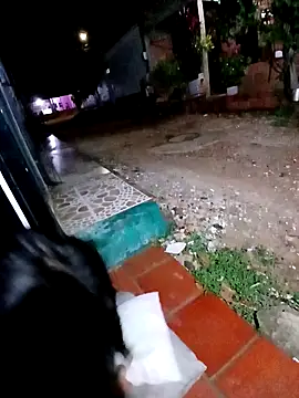 Snapshot of jeltsin3-25 chatting on 24, 2, 2026 jeltsin3-25 online show from 24, 2, 2026