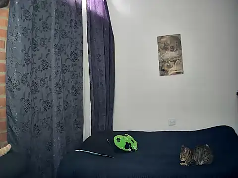 juantalents online show from 15, 10, 2025