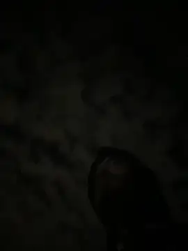 theone3121 online show from 15, 10, 2025