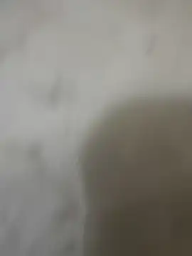 zackria online show from 23, 12, 2025