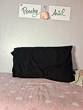 Snapshot of PeachyAriel chatting on 17, 4, 2026 PeachyAriel online show from 17, 4, 2026