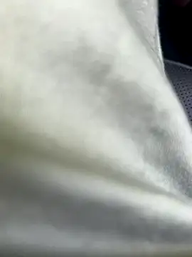 Zoro404040 online show from 16, 9, 2025