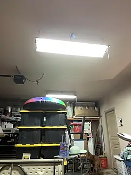 petalsexy online show from 25, 9, 2025