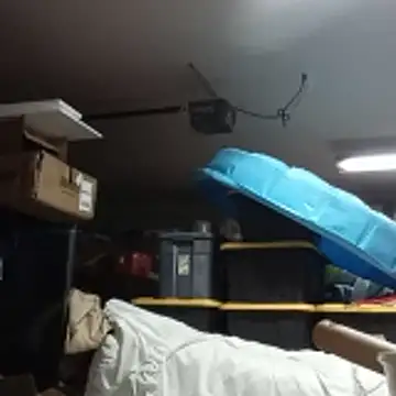 petalsexy online show from 20, 12, 2025