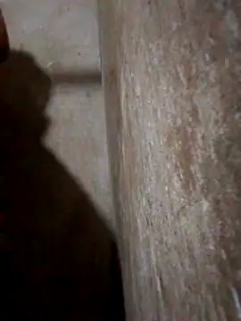 Snapshot of Lujor chatting on 25, 3, 2026 Lujor online show from 25, 3, 2026