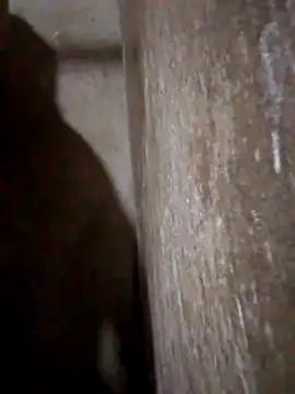 Snapshot of Lujor chatting on 31, 3, 2026 Lujor online show from 31, 3, 2026