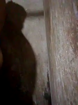 Snapshot of Lujor chatting on 11, 4, 2026 Lujor online show from 11, 4, 2026