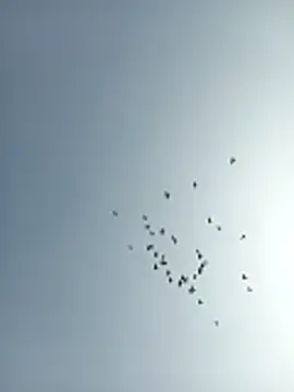 amitkumarkangra online show from 19, 12, 2025