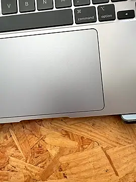 sonwmelt1 online show from 15, 1, 2026