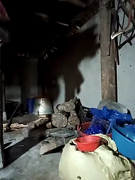 Exembin online show from 17, 9, 2025