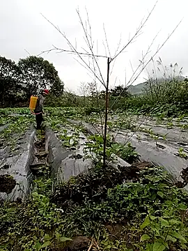 Exembin online show from 24, 10, 2025