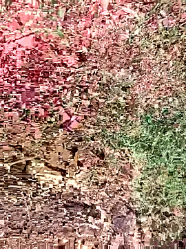 Snapshot of sonotutto chatting on 15, 10, 2025 sonotutto online show from 15, 10, 2025