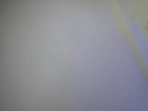 Snapshot of Theevae chatting on 14, 10, 2025 Theevae online show from 14, 10, 2025