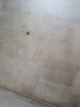 Sgaf39 online show from 14, 9, 2025