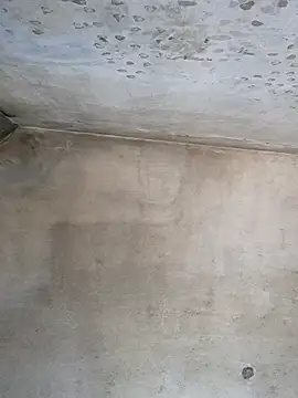 Sgaf39 online show from 26, 9, 2025