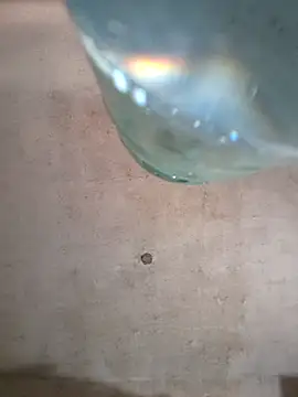 Sgaf39 online show from 6, 10, 2025