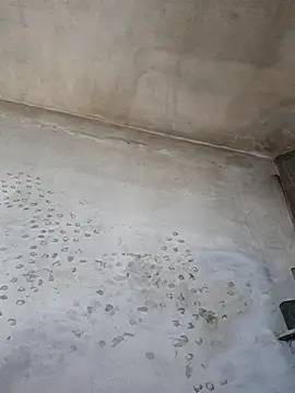 Sgaf39 online show from 20, 10, 2025