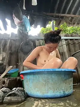 Sunny lotus online show from 2, 11, 2025