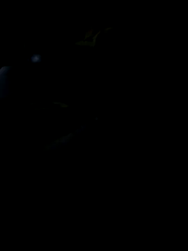 Reeelo online show from 19, 11, 2025