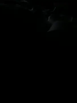 Reeelo online show from 25, 11, 2025