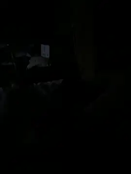 Reeelo online show from 15, 12, 2025