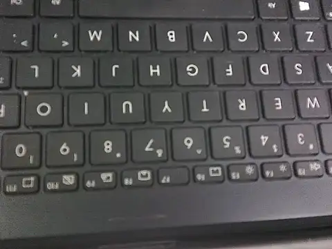 Snapshot of WetWildPussy chatting on 23, 9, 2025 WetWildPussy online show from 23, 9, 2025