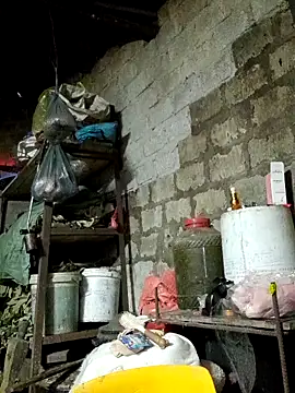 Sunyinn online show from 3, 2, 2026