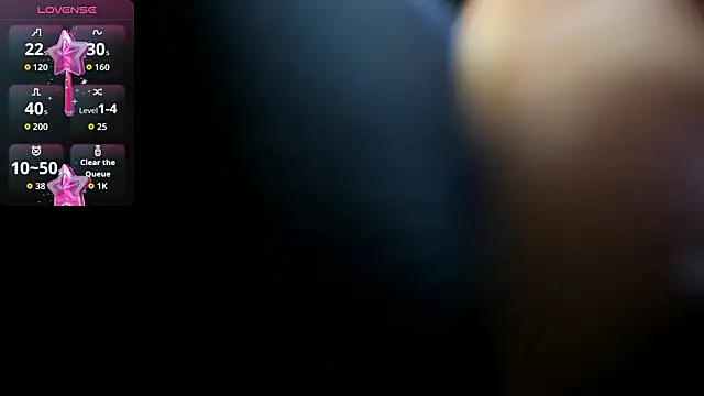 Snapshot of PIINK_2025 chatting on 16, 1, 2026 PIINK 2025 online show from 16, 1, 2026