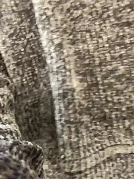 Snapshot of sunset24 chatting on 13, 10, 2025 sunset24 online show from 13, 10, 2025