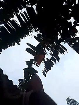 Snapshot of optra34 chatting on 22, 10, 2025 optra34 online show from 22, 10, 2025