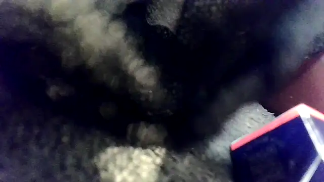 Snapshot of Evieskyy@xh chatting on 26, 11, 2025 Evieskyyxh online show from 26, 11, 2025