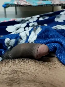 Bull54321 online show from 15, 12, 2025