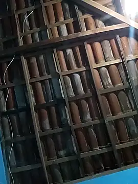 ttonetto online show from 24, 3, 2026