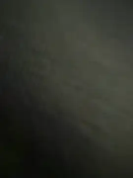 ProvenTobi777 online show from 17, 2, 2026