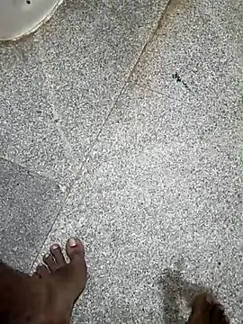 indian pavi online show from 22, 12, 2025