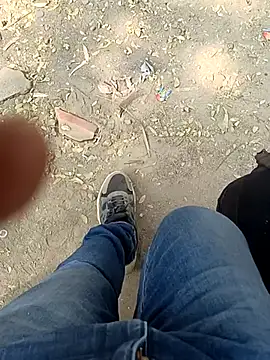 indian pavi online show from 2, 3, 2026