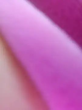 ShineBright88 online show from 30, 10, 2025