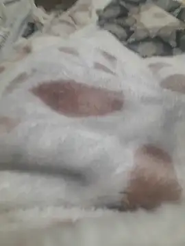 Snapshot of ratoncito_3 chatting on 16, 1, 2026 ratoncito 3 online show from 16, 1, 2026