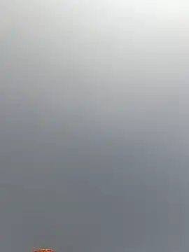 Cut rajbati online show from 29, 11, 2025