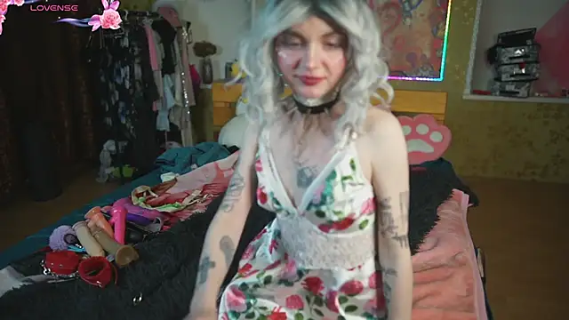 Dia Angel online show from 11, 5, 2026